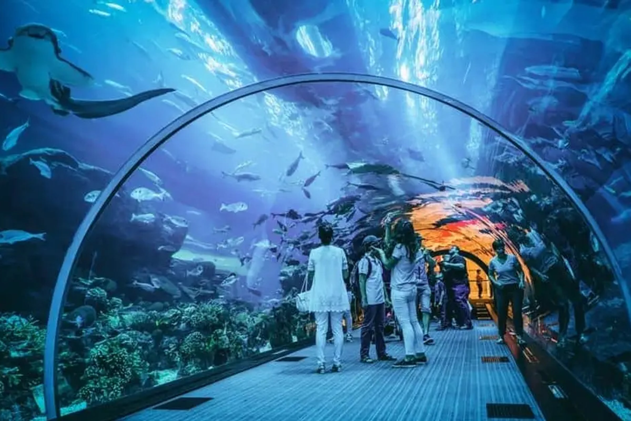 Jakarta Aquarium Admission Ticket